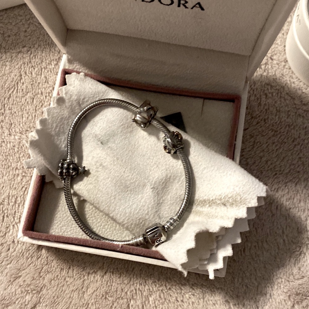 Pandora Bundle - image 2